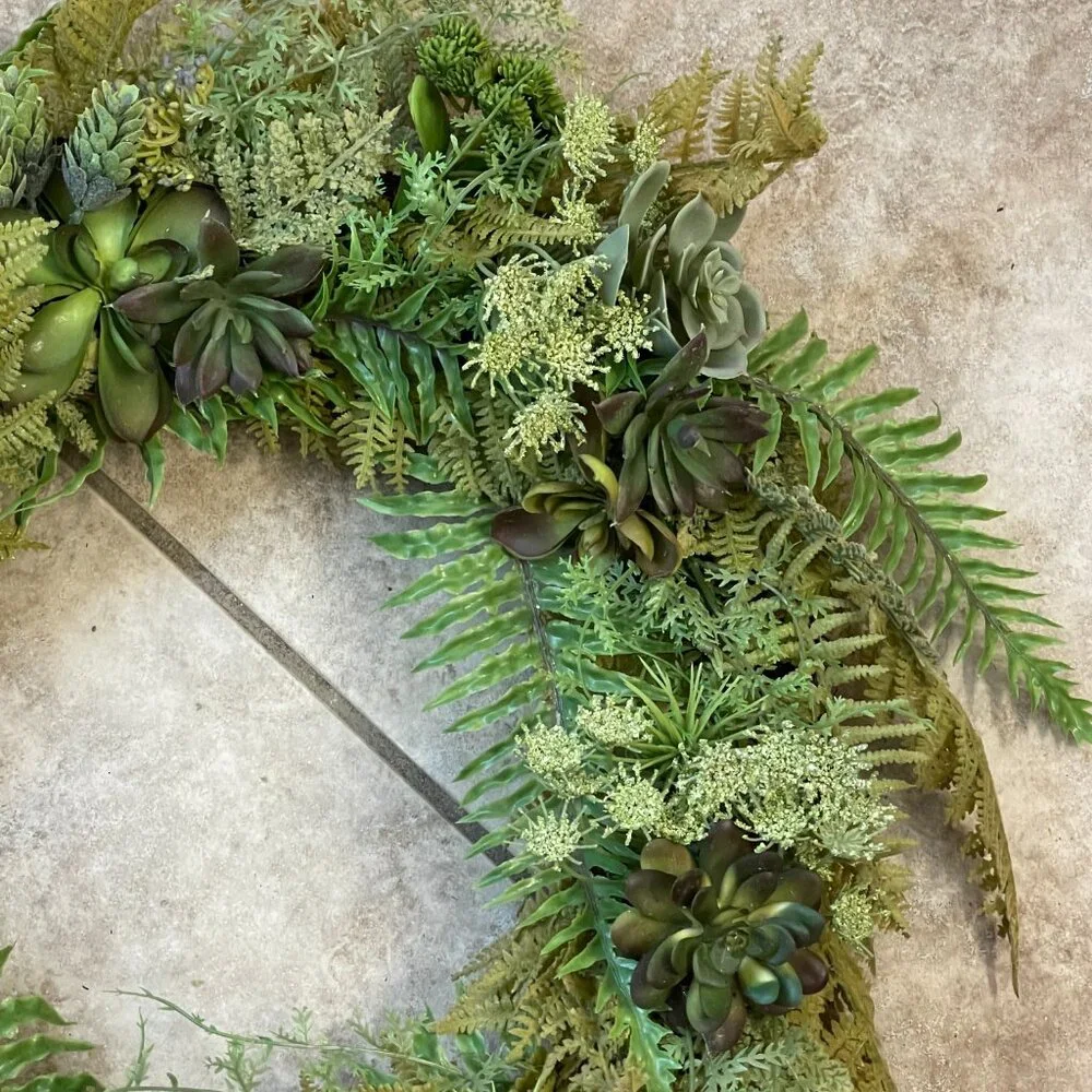 N/A succulent fern